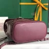 Goyard Alpin Mini Backpack Burgundy